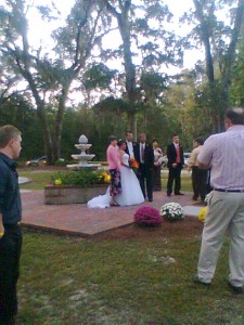 Caption for the phots